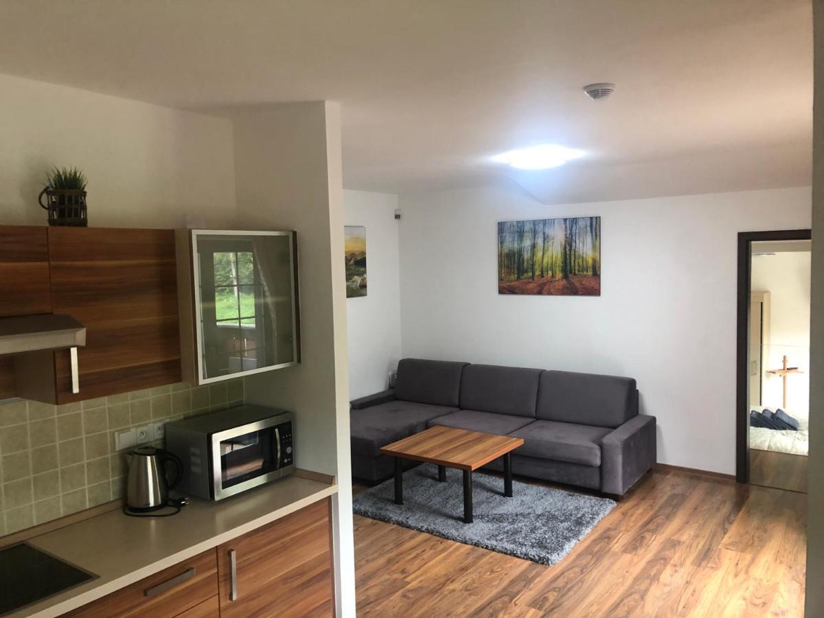 Apartament Vila Helena - Apartman Helena 15 Rużomberk Zewnętrze zdjęcie